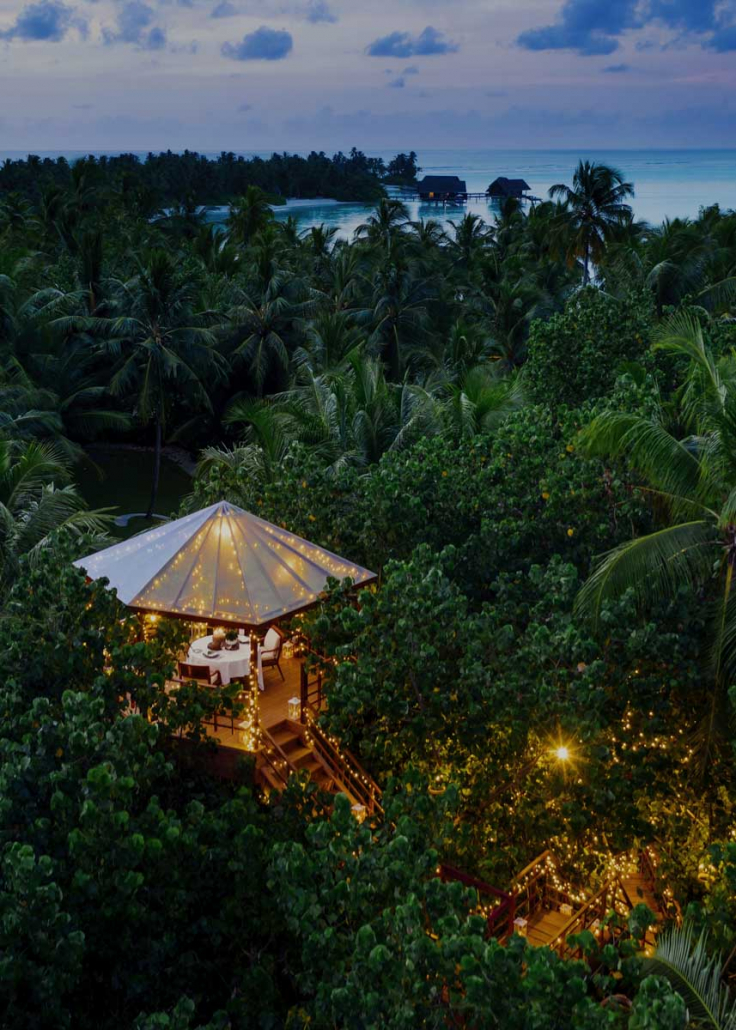 OO_RR_Resort_TreeHouse_Drone_Twilight_3578_MASTER_Small
