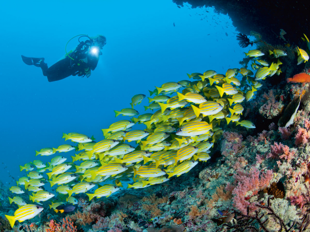 Velaa Maldives 17